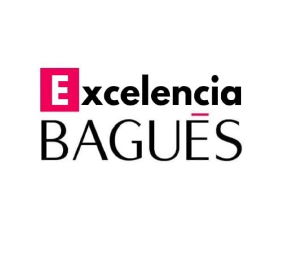 baguesequipoexcelencia.com